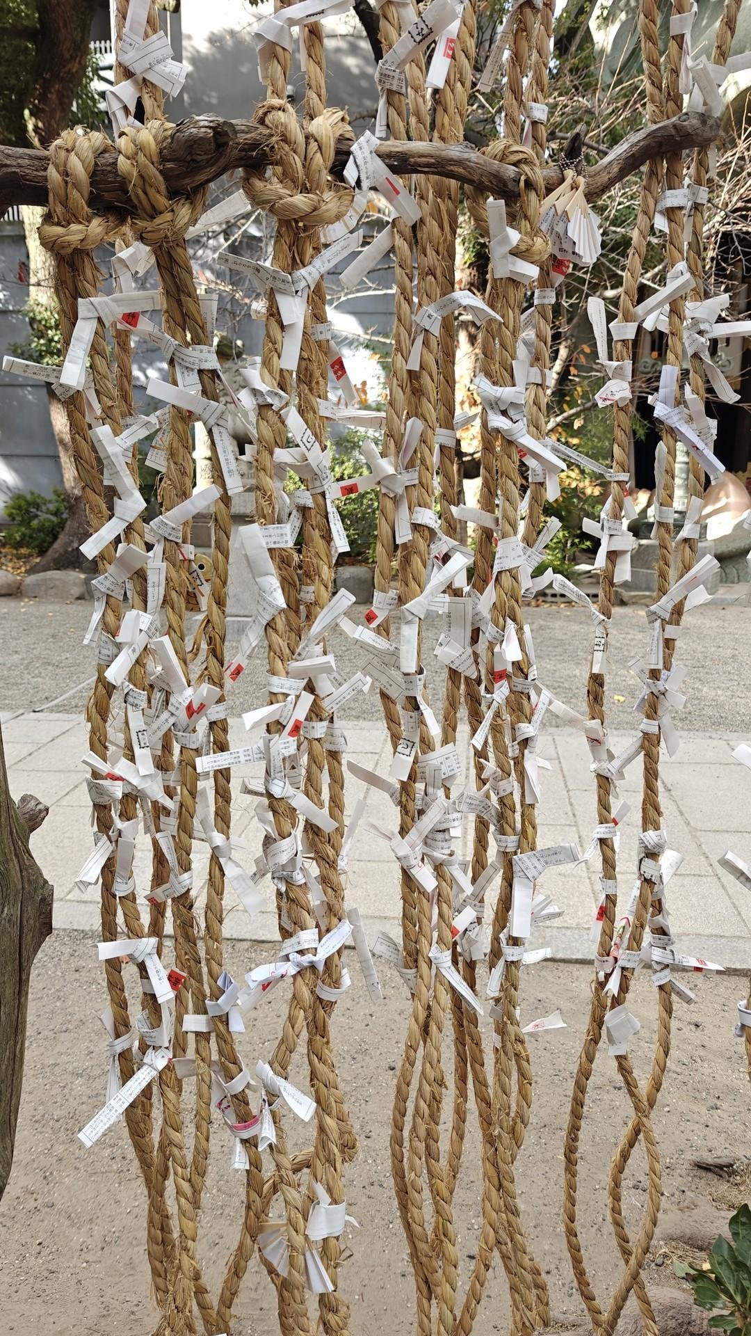 Wishes tied to ropes in a sacred garden