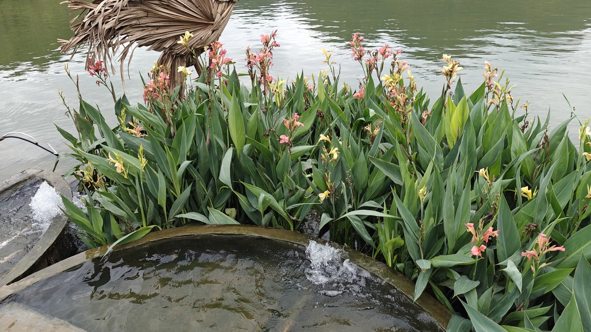 Wooden bird sculpture flowers water