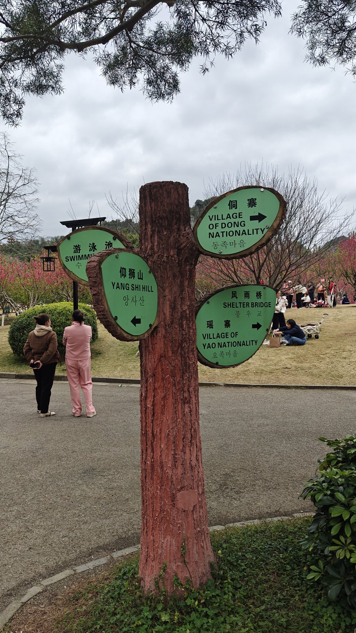 Wooden directional signpost green leaves