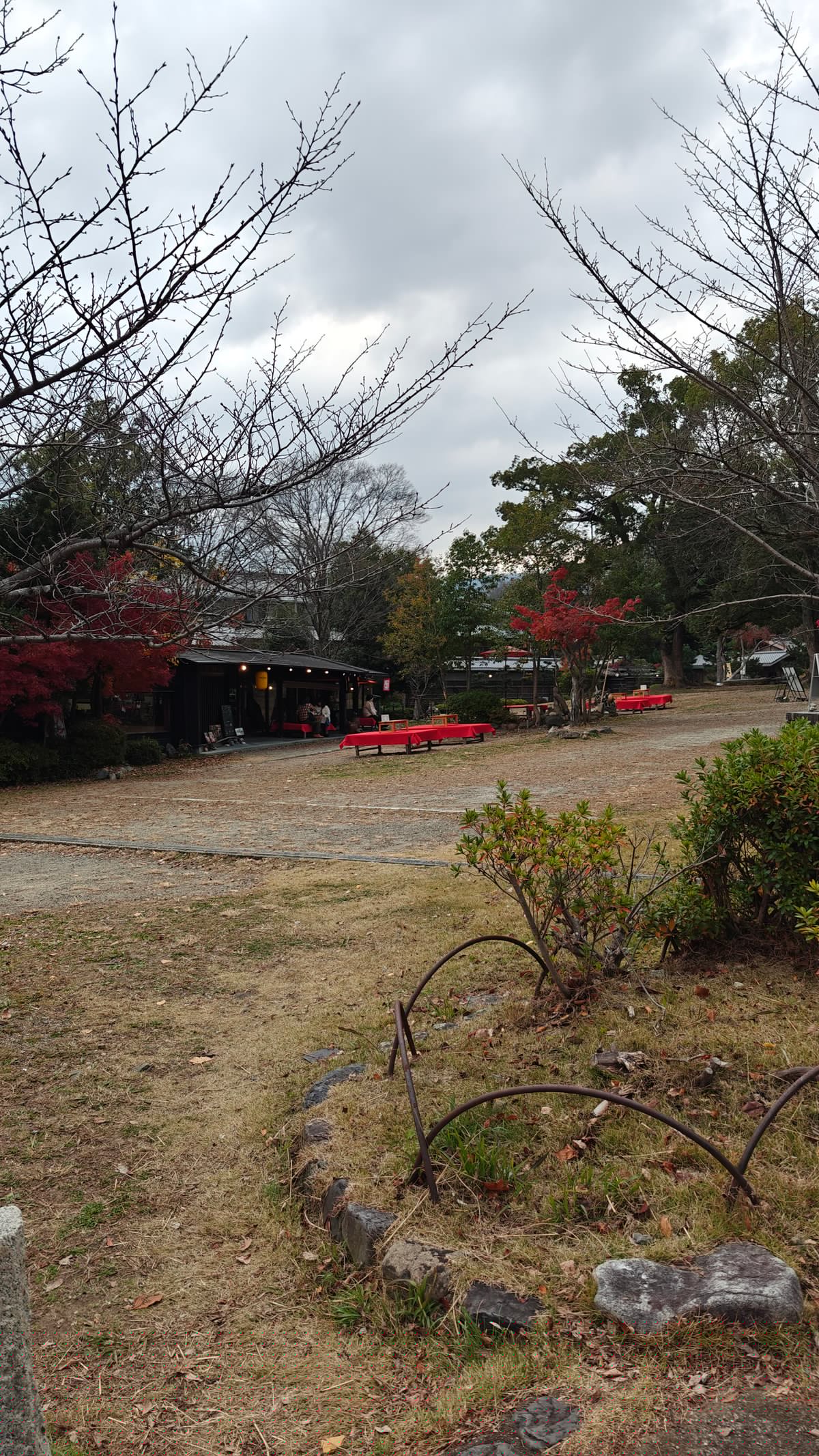 Autumn foliage and red shrubs along the path