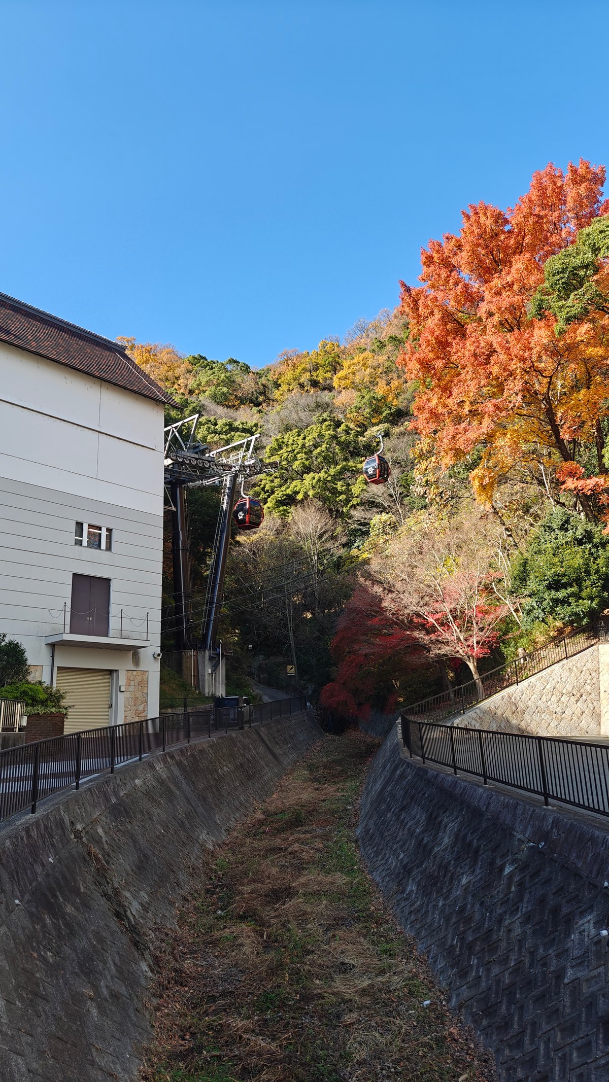 Autumn foliage beside the Nunobiki ropeway lower station,