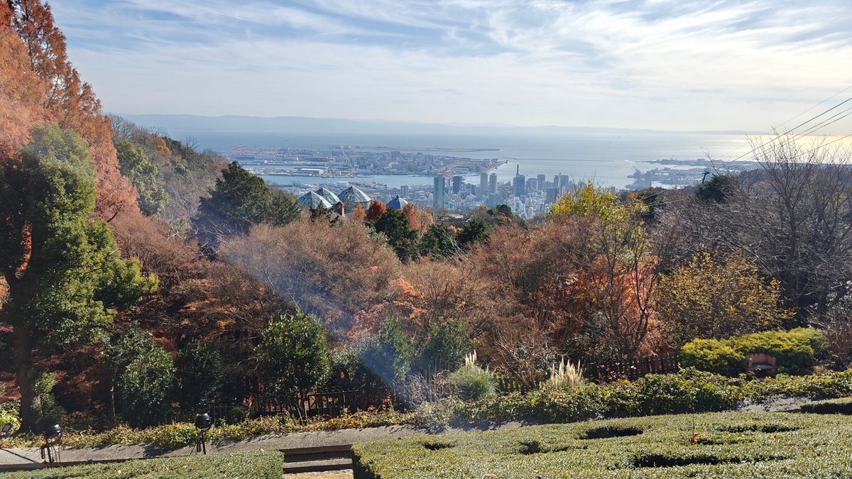 Autumn panorama to city and sea