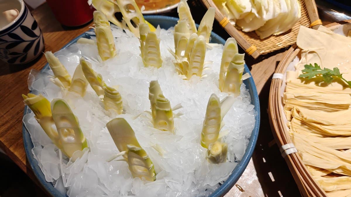 Bamboo tips on ice
