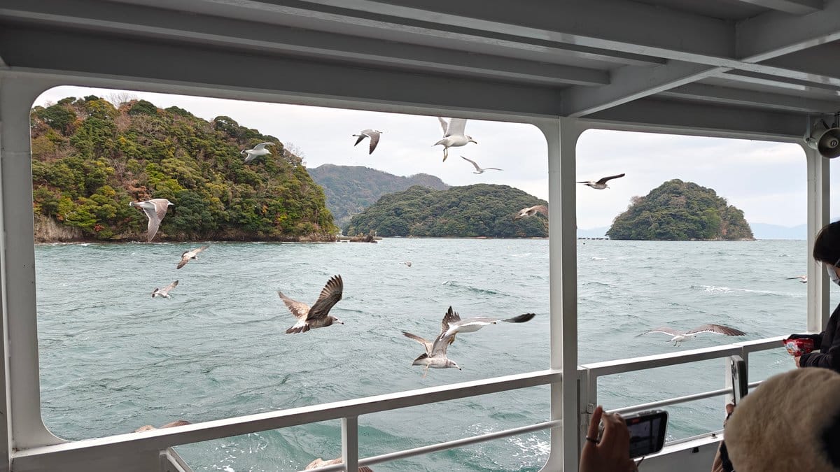 Bay and island from cruise deck