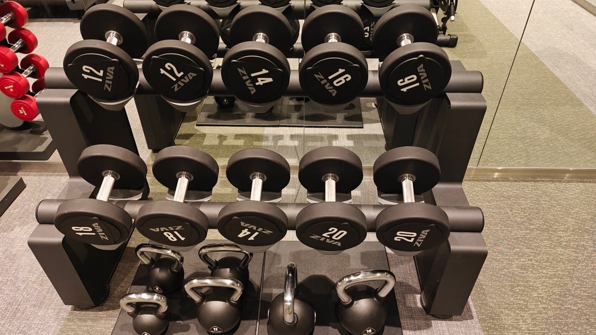Close-up of dumbbell rack with numbered weights 8-20
