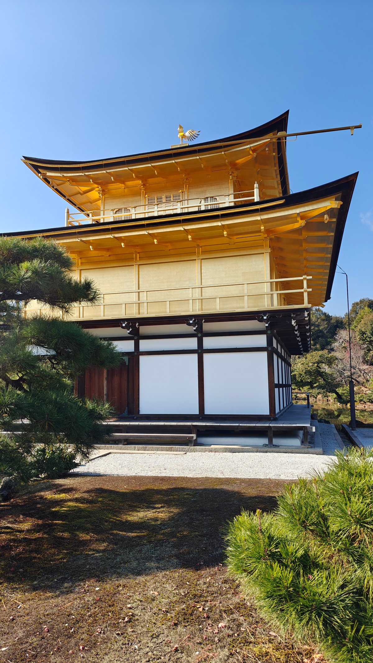 Close view of pavilion lower floors