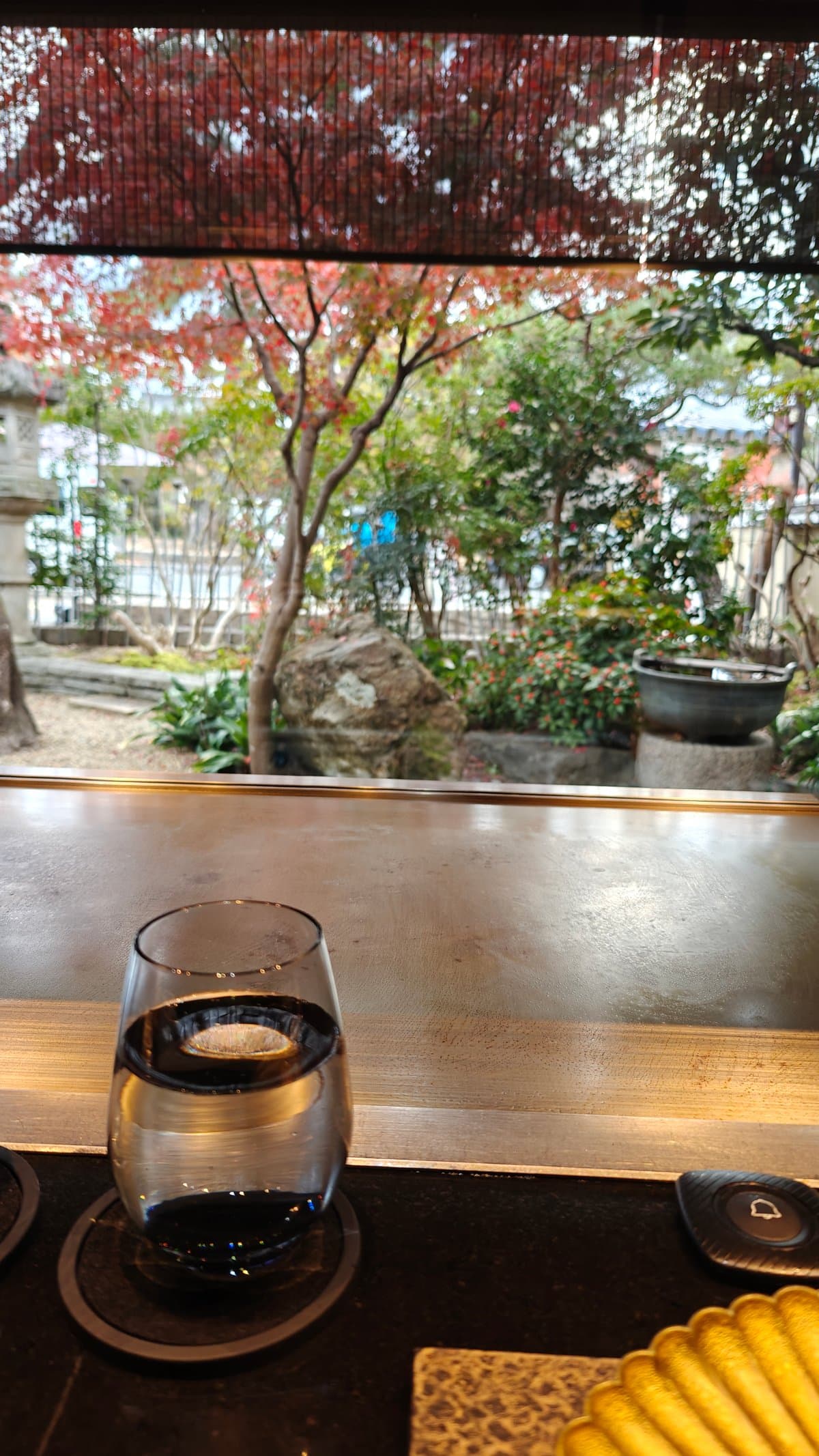 Counter view autumn garden