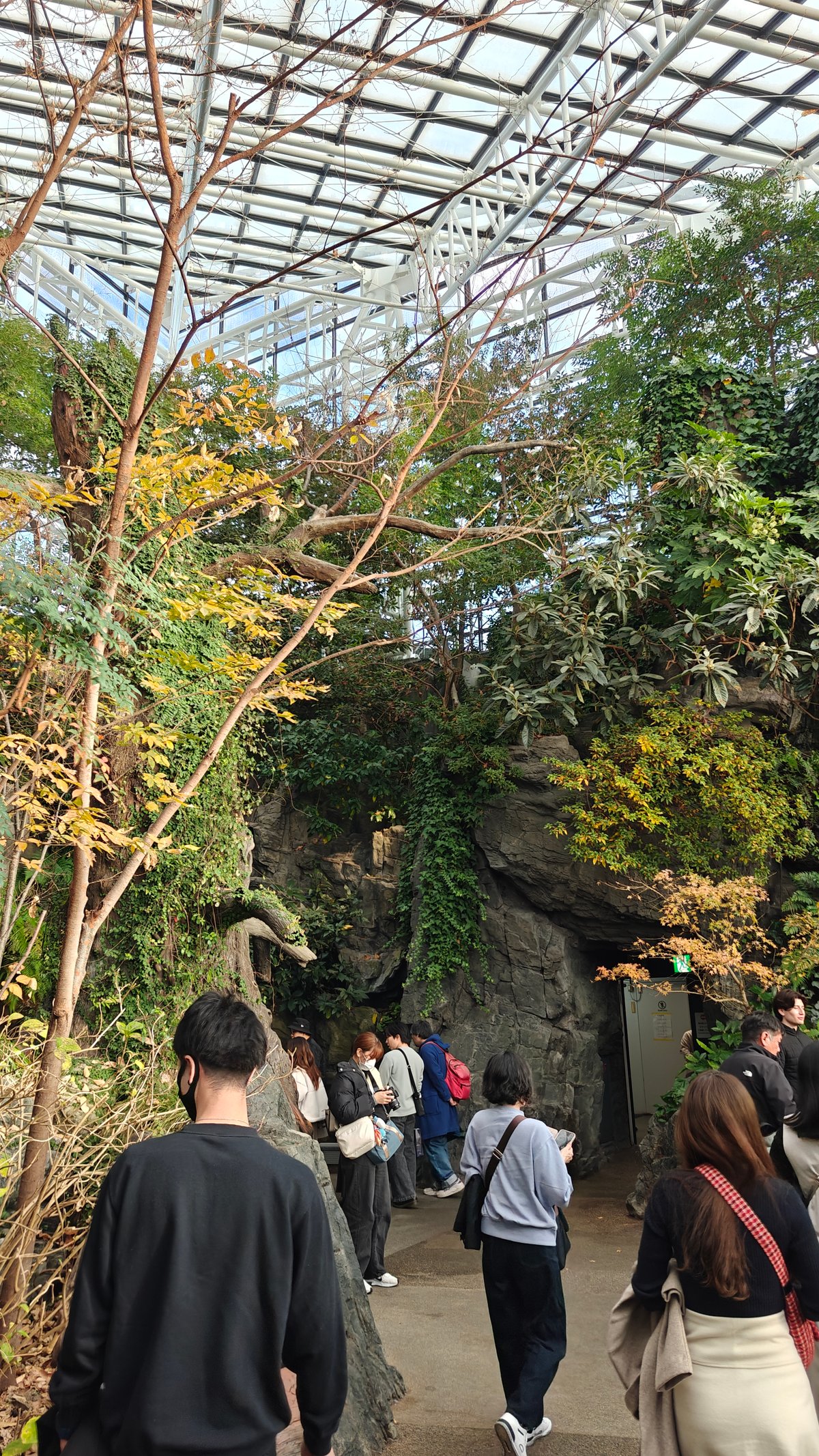 Covered greenhouse exhibit with visitors and vegetation