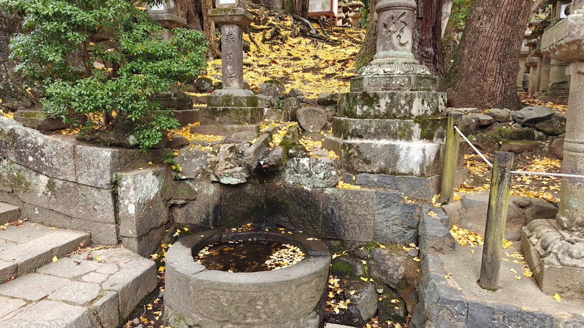 Deer-shaped ema (wooden prayer tablets) at Kasuga Taisha