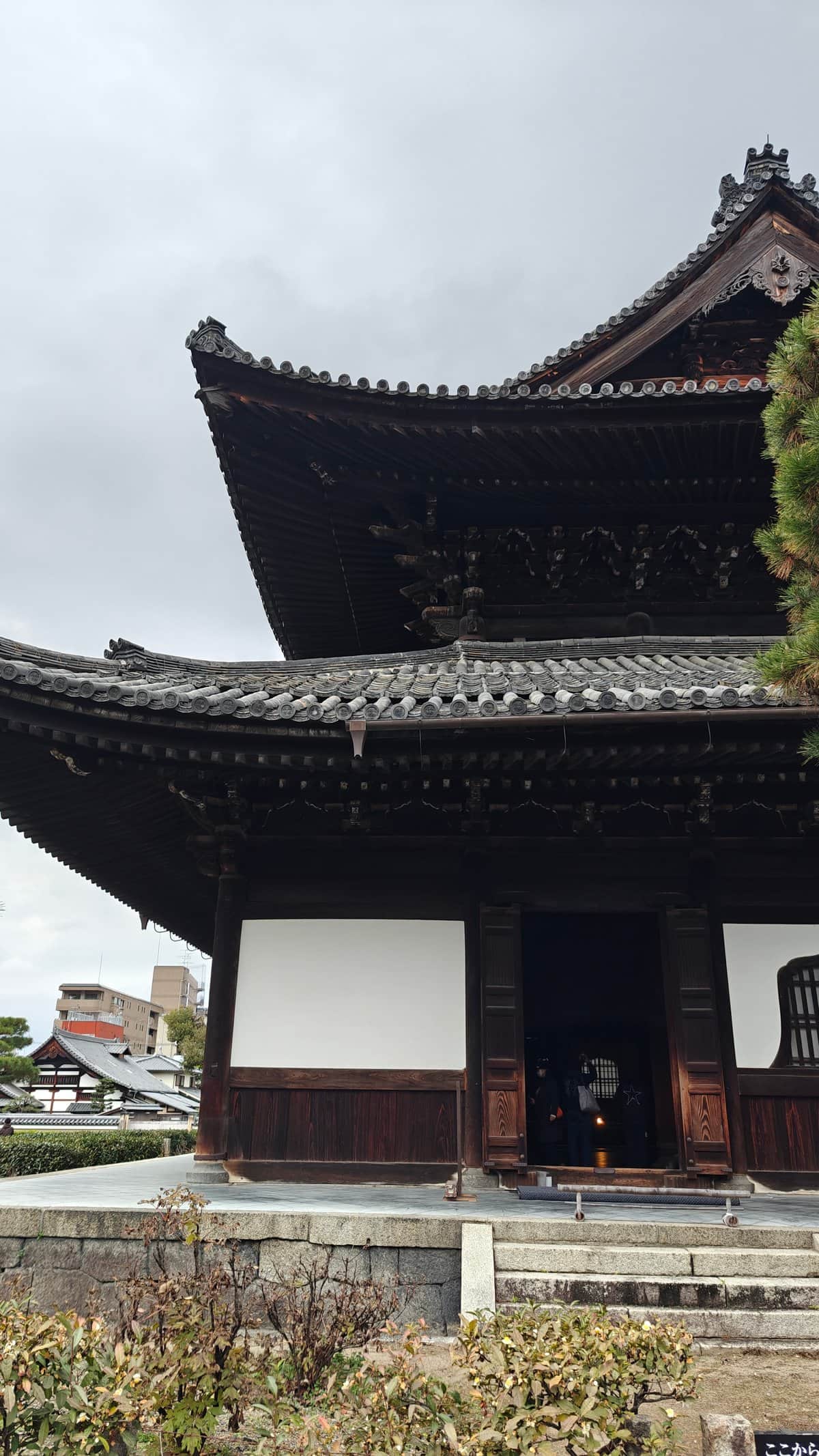 Dharma Hall open doors visitors