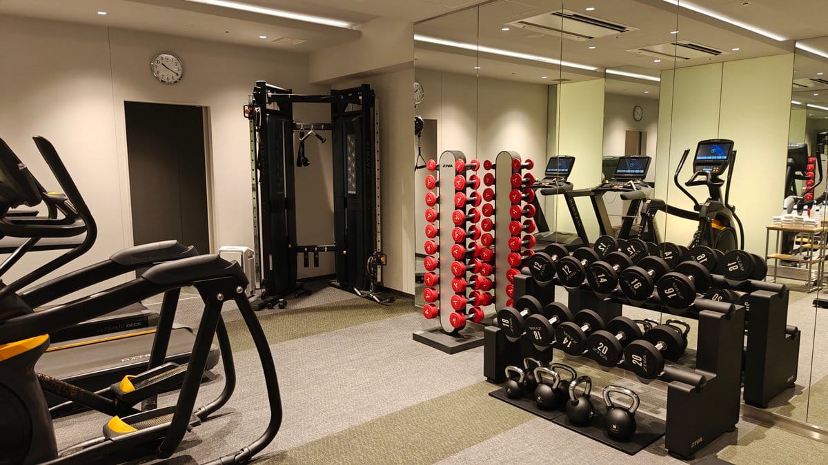 Dumbbell racks and weight area