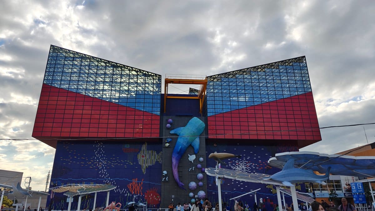 Exhibition info about Sand tiger shark with signage