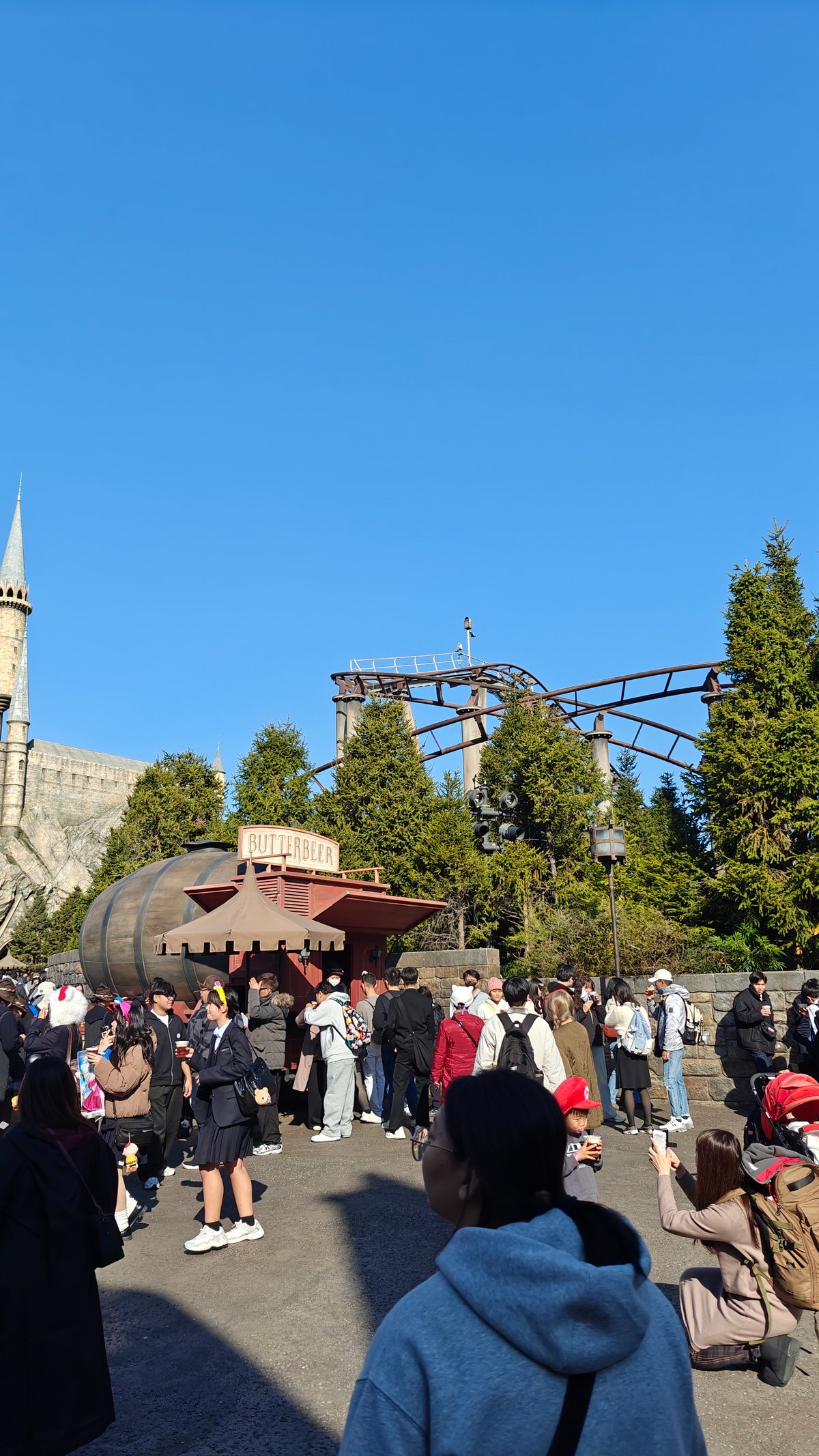 Flight of the Hippogriff ride
