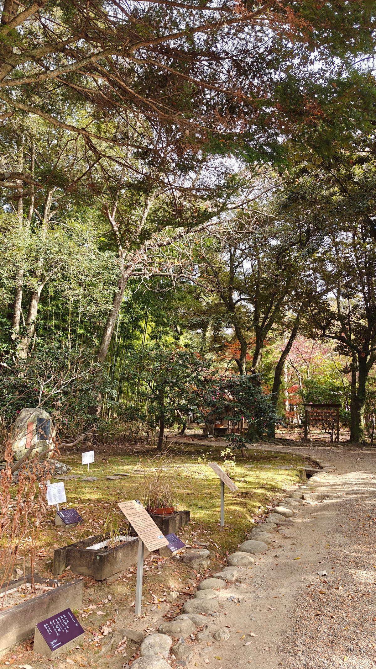 Garden path with autumn colors