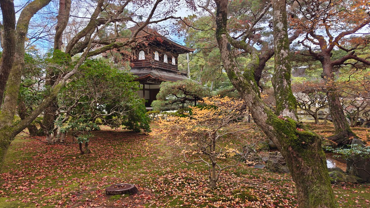 Ginkaku nestled in autumn foliage