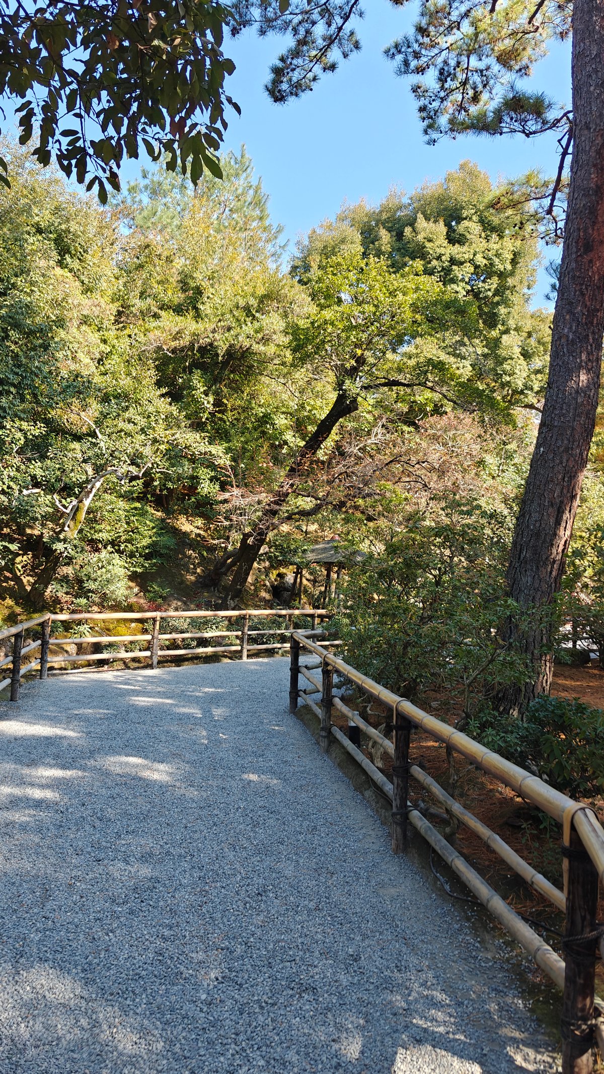 Gravel garden path with a wooden railing through