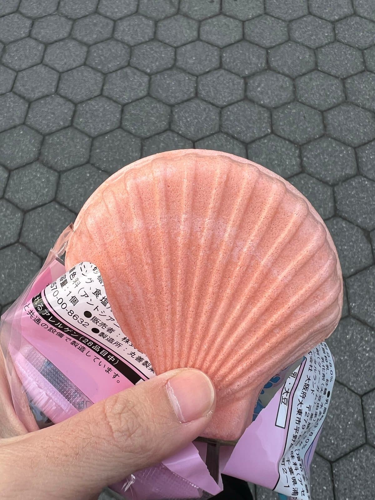 Hand holding a pink scallop-shell-shaped souvenir container.
