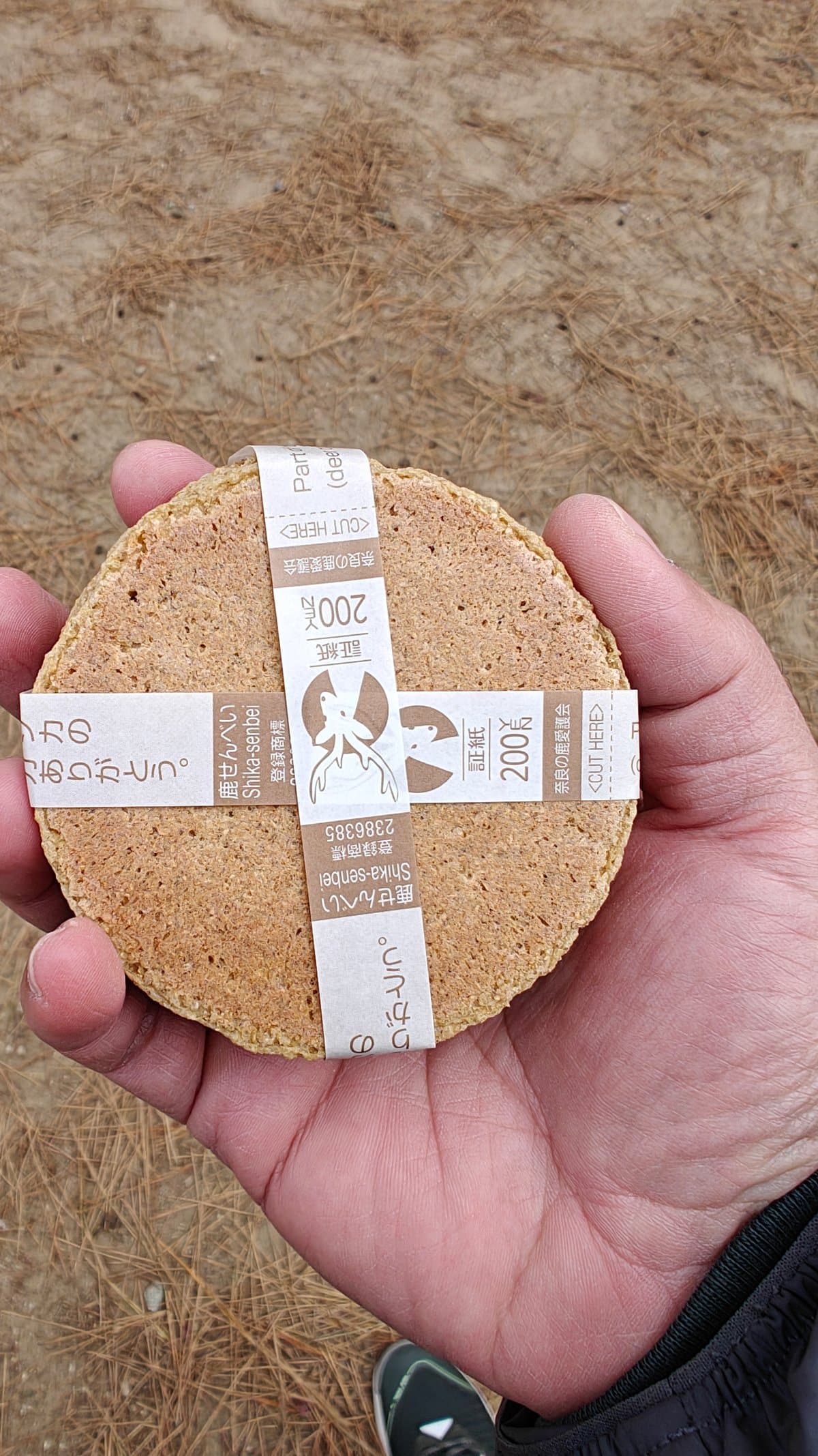 Hand holding shika senbei crackers