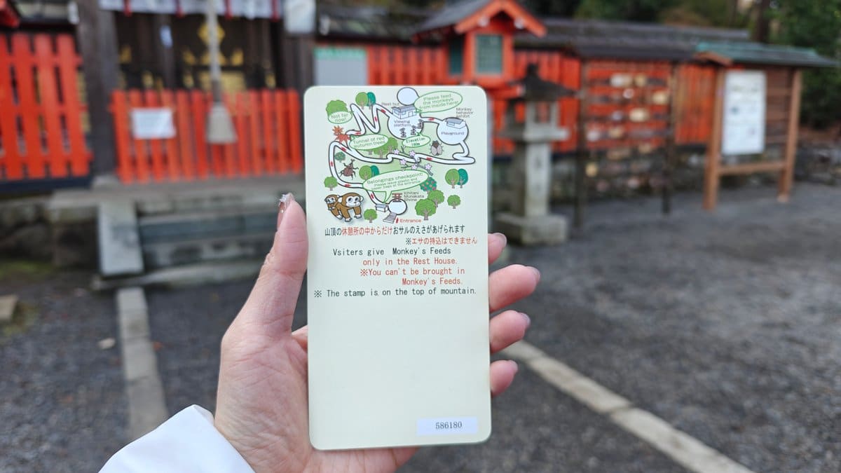 Hand holding the leaflet's reverse with a feeding