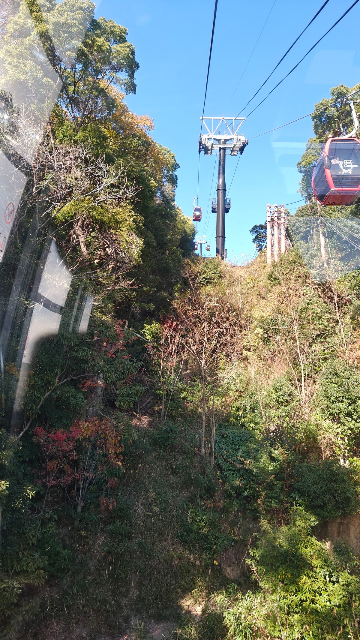 Hillside view from gondola