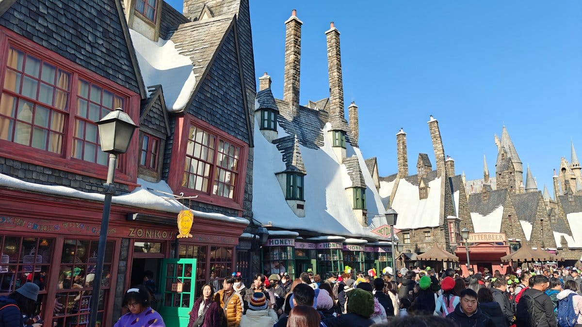 Hogsmeade village snowy rooftops