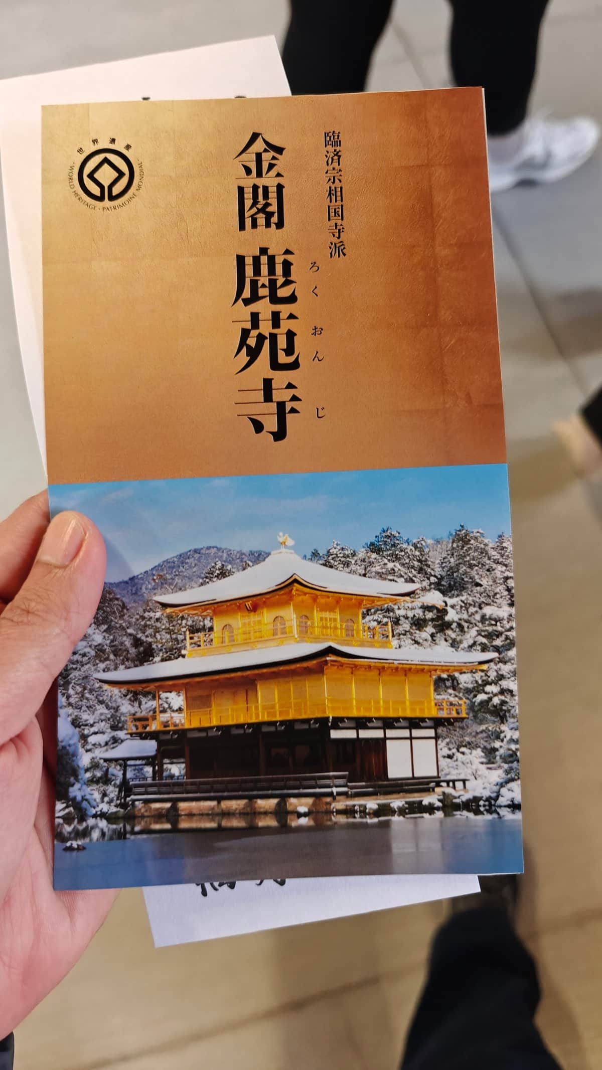 Holding the 金閣鹿苑寺 (Kinkaku Rokuon-ji) pamphlet showing the