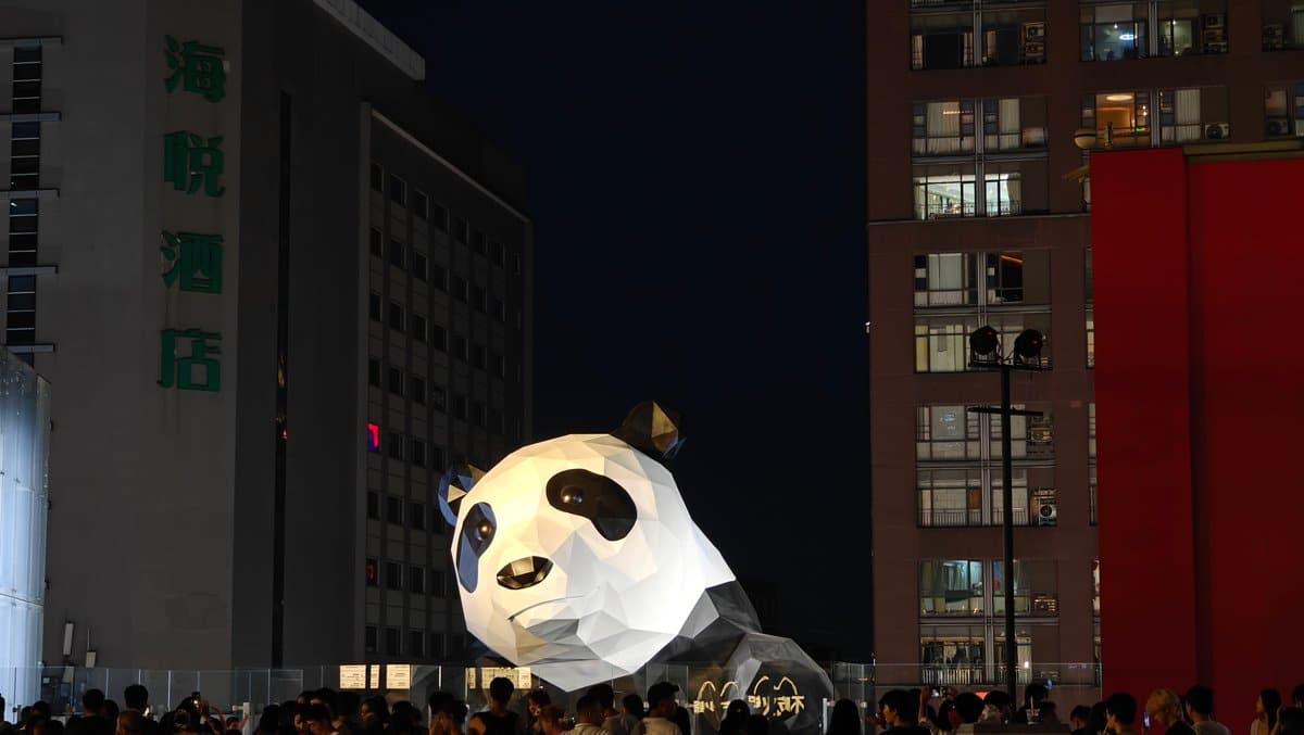 IFS climbing panda at night