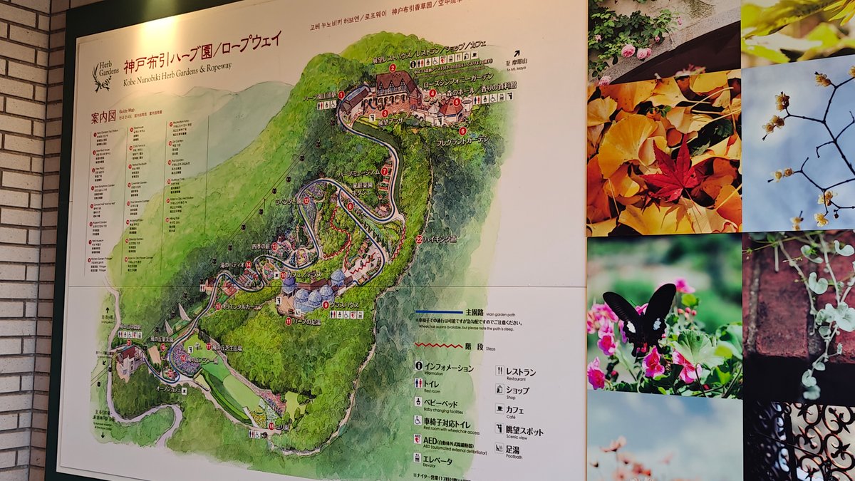 Illustrated map board of Kobe Nunobiki Herb Gardens