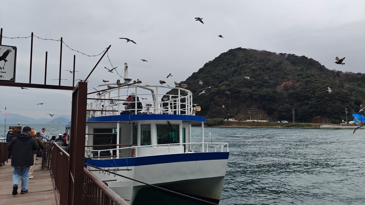 Ine Bay tour boat at pier