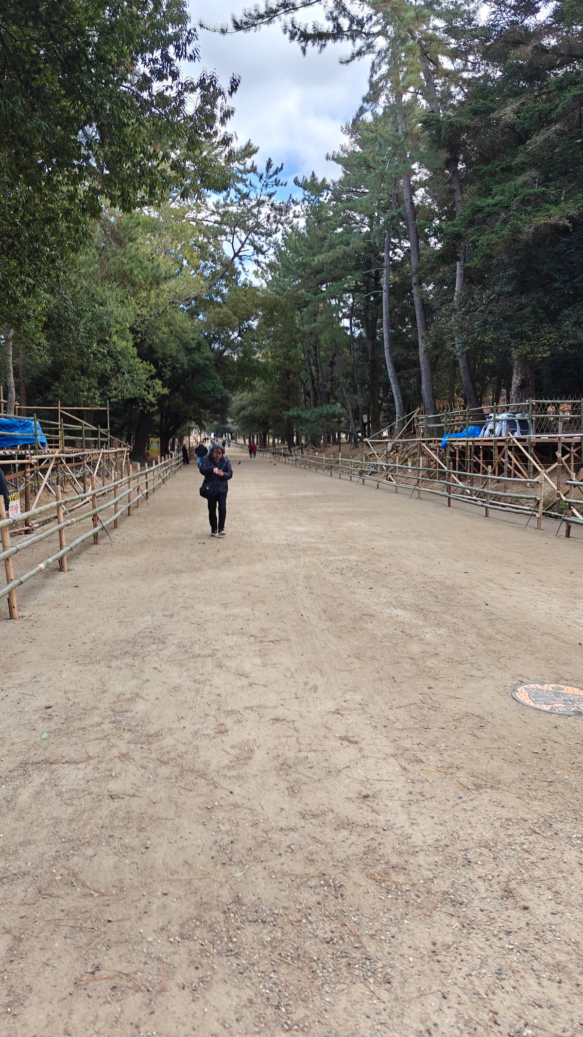 Kasuga Taisha lantern approach