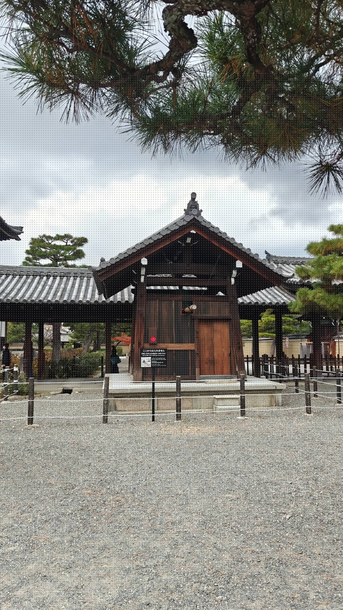 Kenninji bell tower and pine
