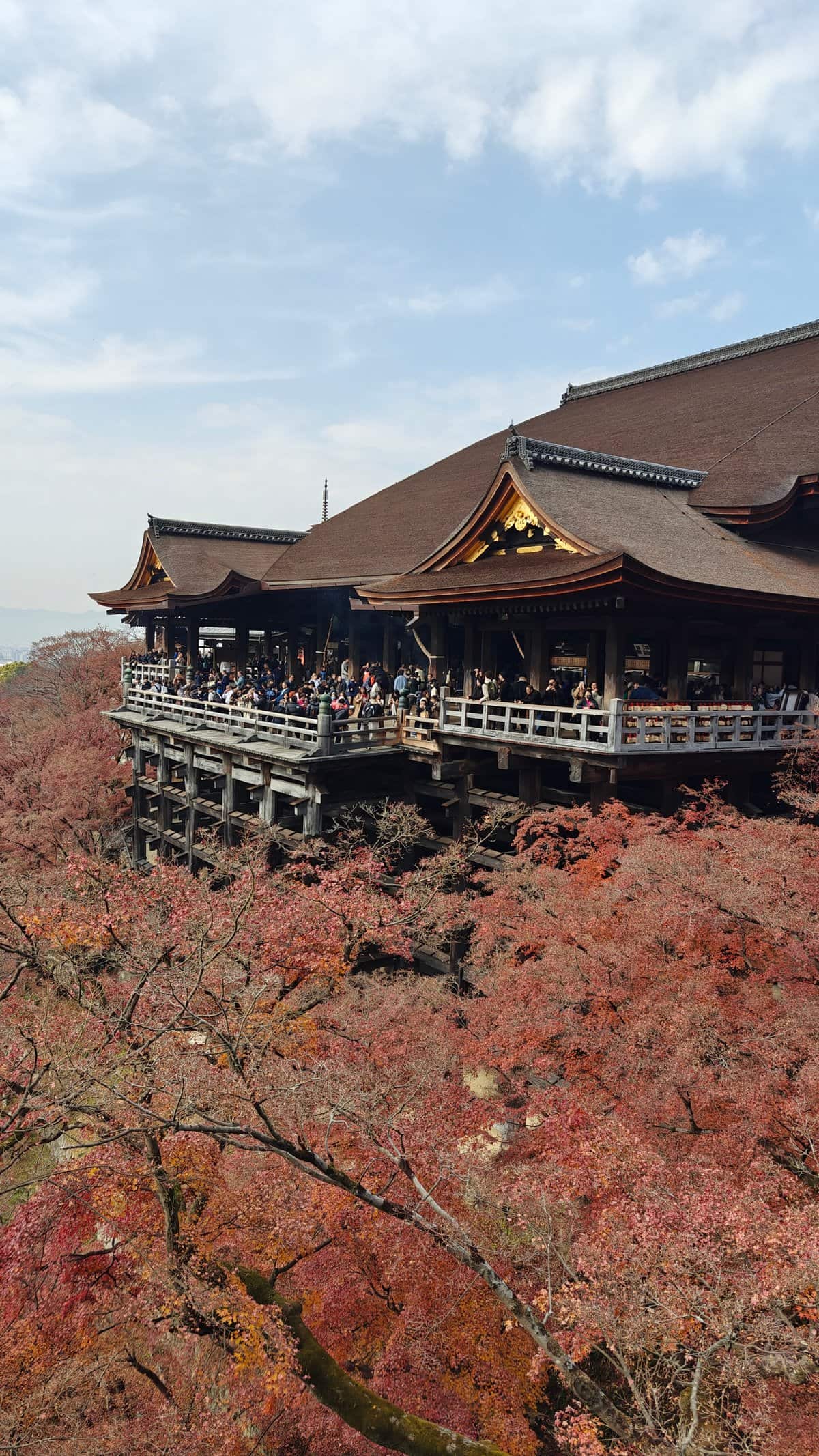 Kiyomizu stage hillside vertical
