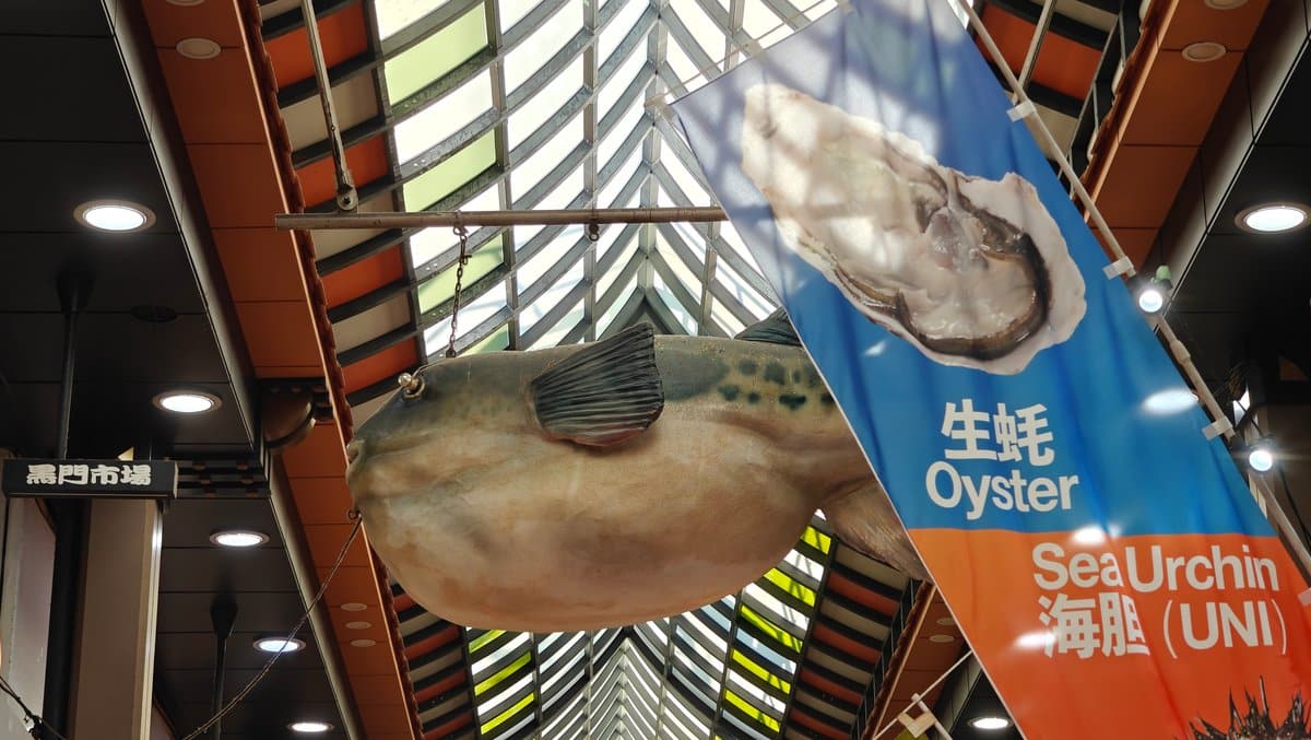 Looking up at ceiling — giant inflatable fugu