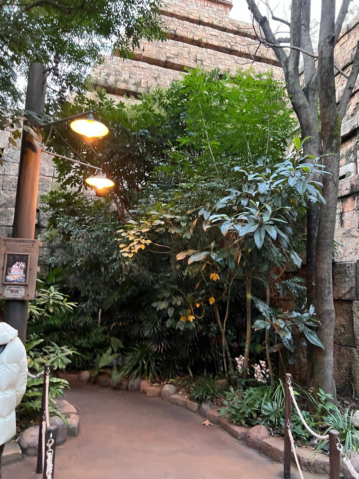 Lost River Delta jungle path