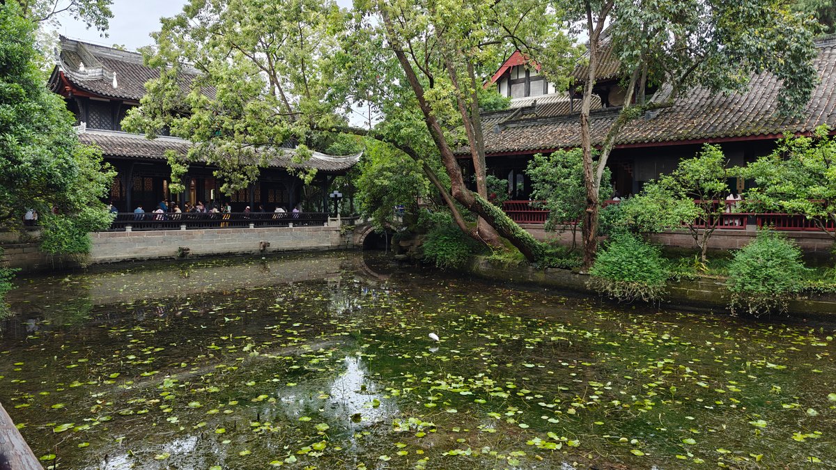 Lotus pond at Wuhou