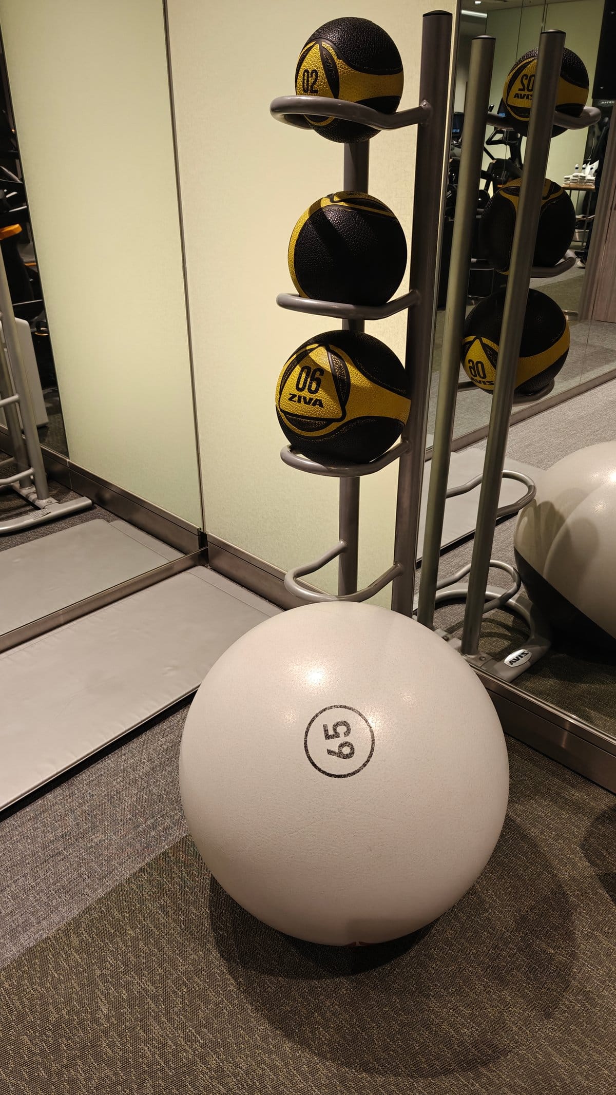 Medicine balls and training accessories on display shelf