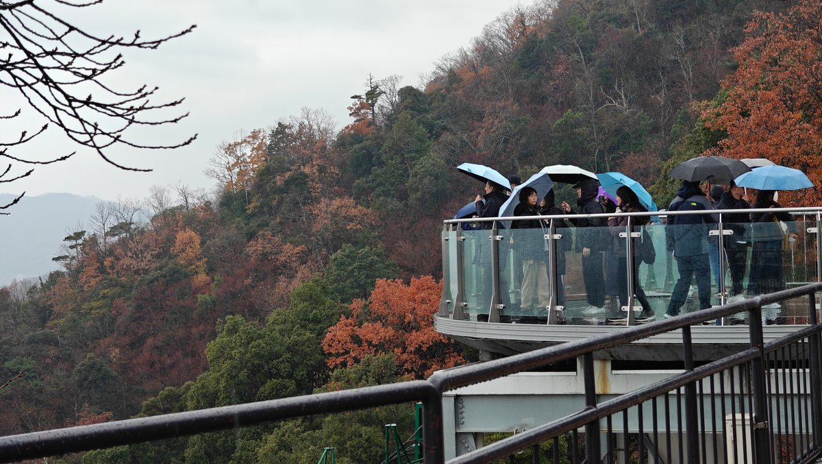 Observation deck overlooking the bay