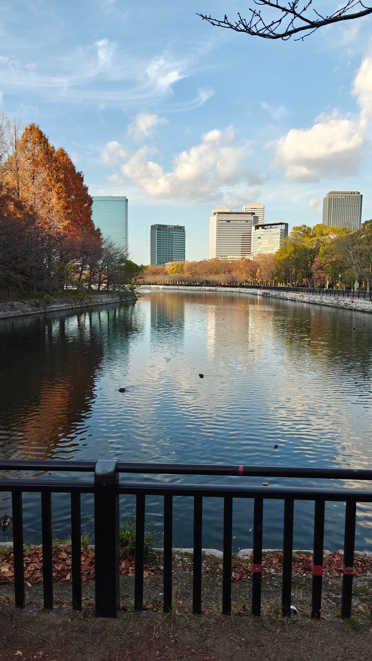 Outer moat reflecting city skyline
