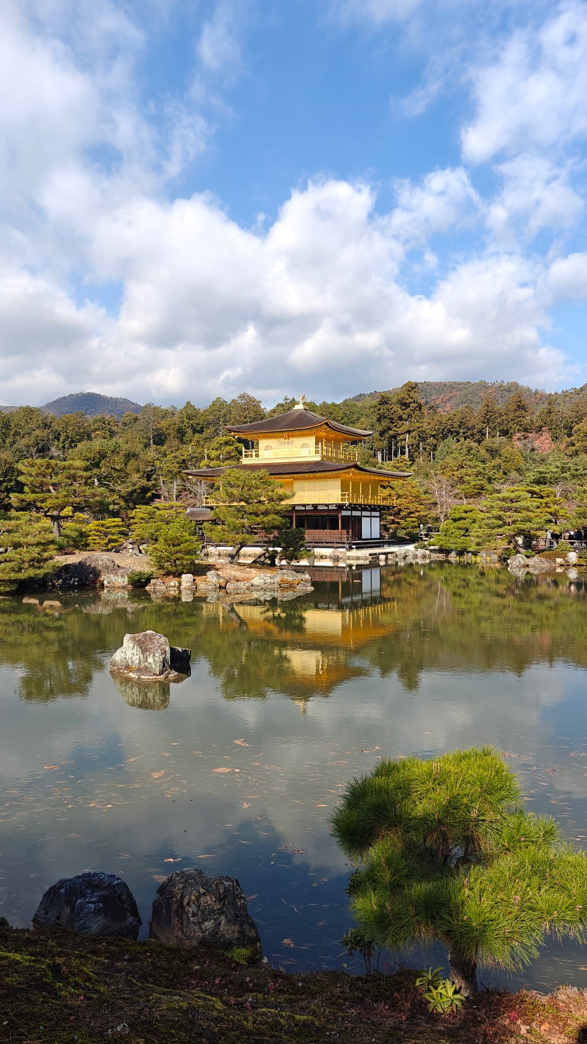 Pavilion with garden islands on pond