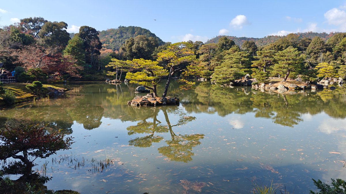 Pond islands with autumn trees