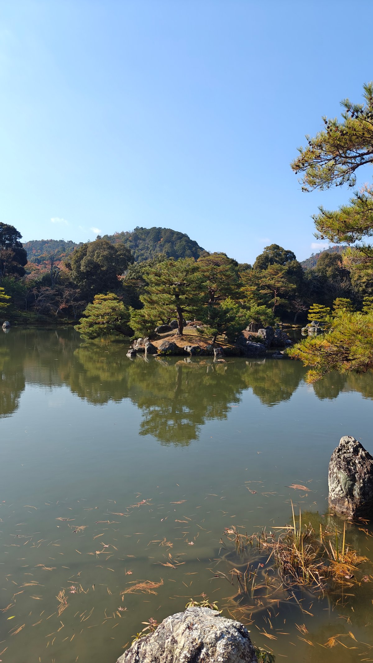 Pond with rock arrangements and reflections