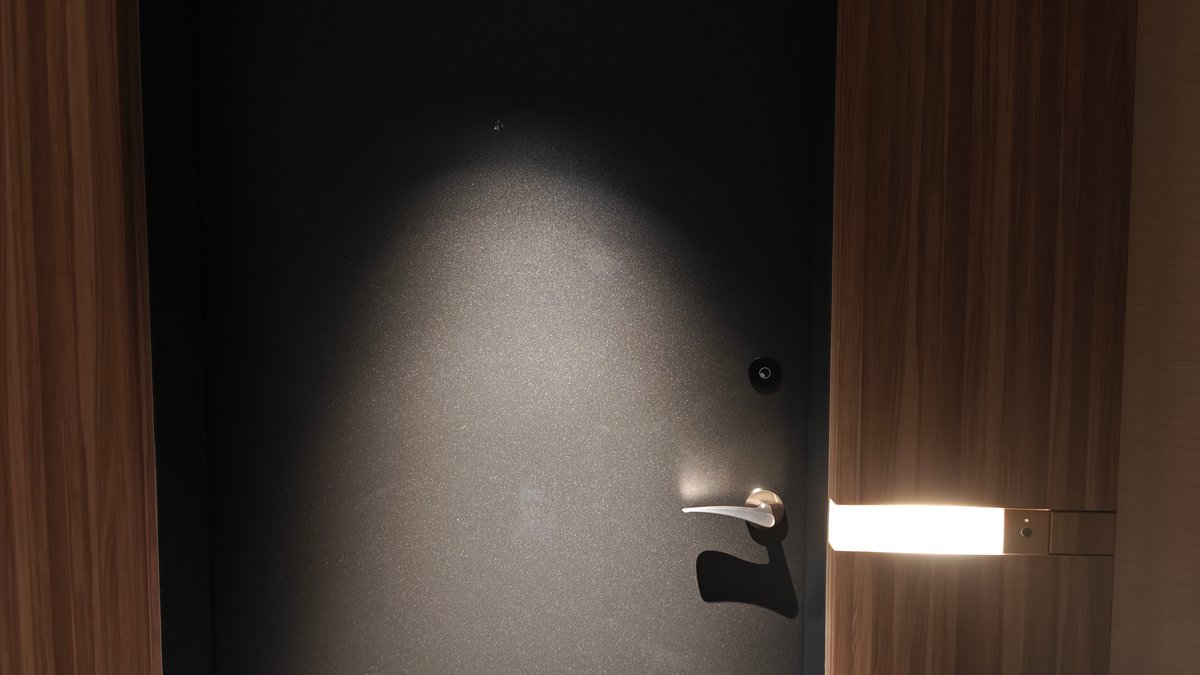 Room entrance with black door and modern handle