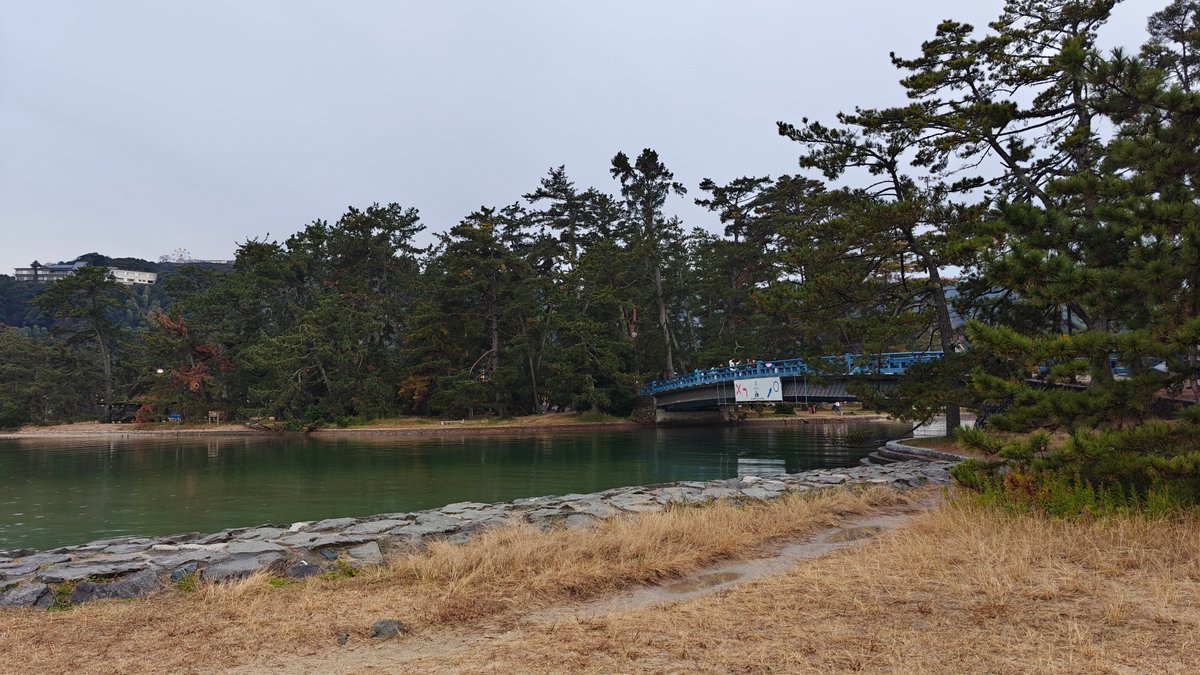 Sandy beach lined with pines