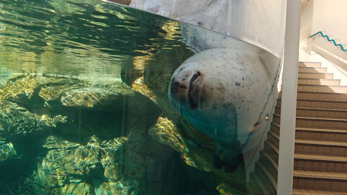 Seal face close-up at glass
