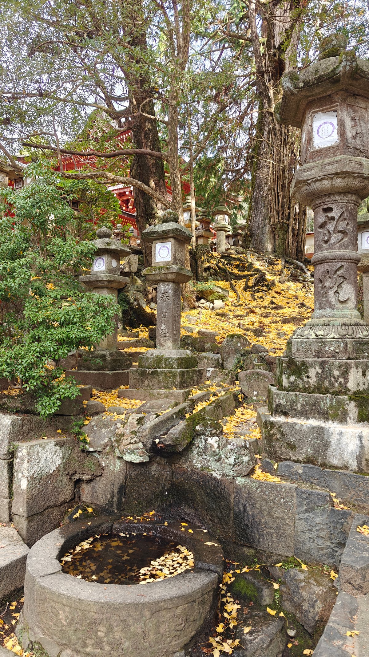 Shrine ema (prayer tablets) and fortune charm display