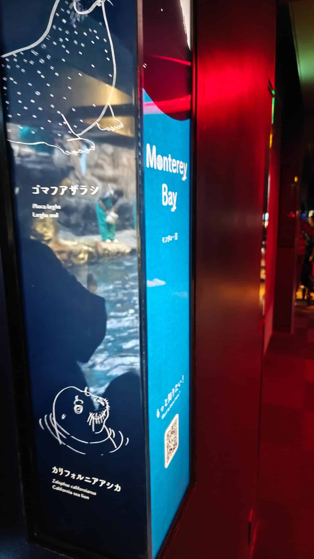 Sign displaying fish species with illustrations (Porcupinefish, Burfish)