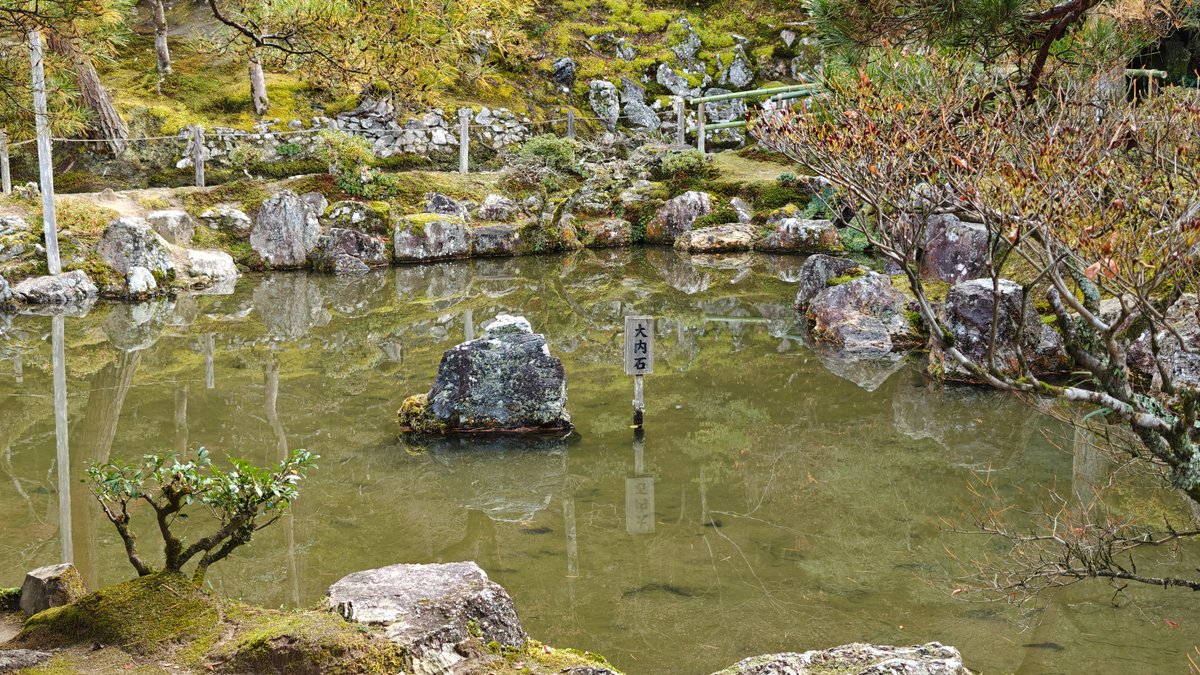 Still pond with rock island reflection
