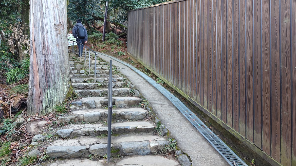 Stone steps on monkey park trail