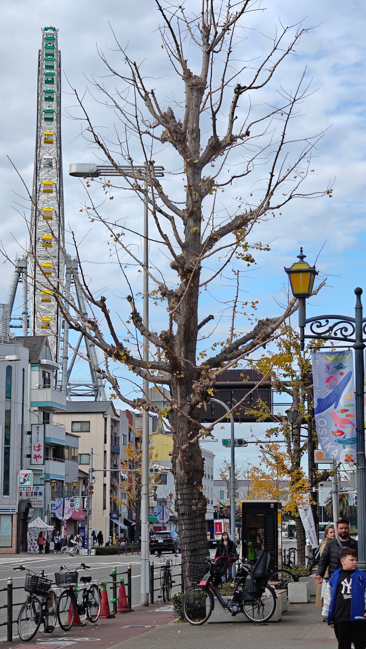 Street scene with Ferris wheel visible and decorative