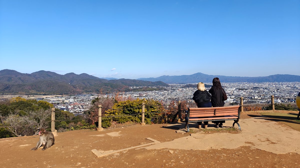 Summit panorama over Kyoto city
